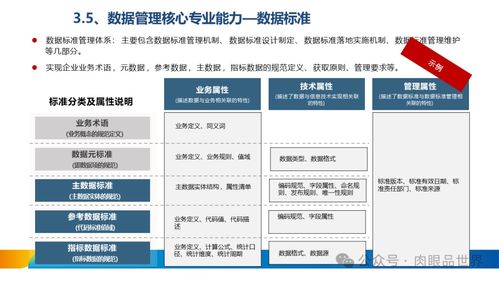 xx集團數(shù)據(jù)治理體系建設(shè)方案 打造卓越數(shù)據(jù)處理服務(wù)